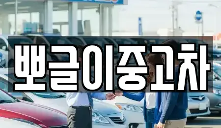 강원 고성군 간성읍 중고차 전문 뽀글이중고차