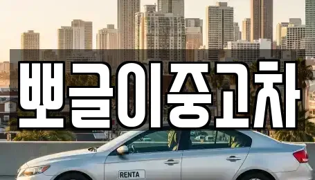 강원 동해시 망상동 중고차 전문 뽀글이중고차