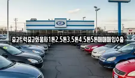 강원 동해시 망상동 중고차 전문 중고트럭중고화물차1톤2.5톤3.5톤4.5톤5톤매매매입수출