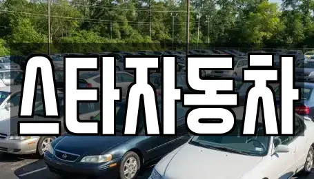 강원 동해시 추암동 중고차 전문 스타자동차