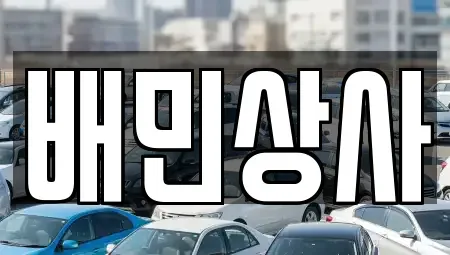 강원 삼척시 갈천동 중고차 전문 배민상사
