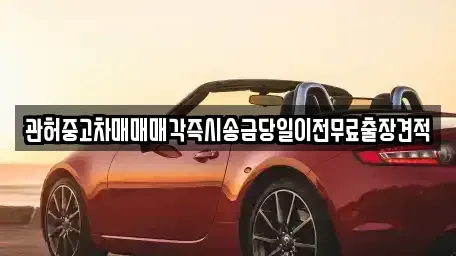강원 삼척시 하장면 중고차 전문 관허중고차매매매각즉시송금당일이전무료출장견적