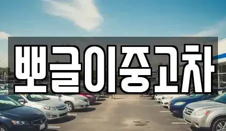 강원 삼척시 하장면 중고차 전문 뽀글이중고차