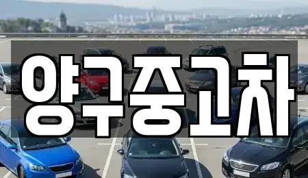 강원 양구군 양구읍 중고차매매,단기렌트카,중고차매입,장기렌트카,중고차,렌트카