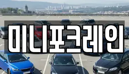 강원 양양군 강현면 중고차 전문 미니포크레인