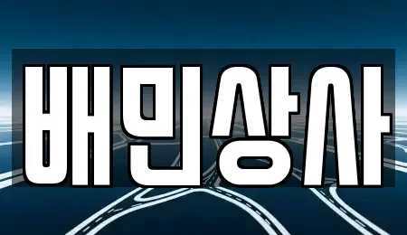 강원 양양군 강현면 중고차 전문 배민상사