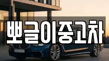 강원 양양군 강현면 중고차 전문 뽀글이중고차