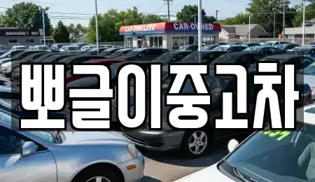 강원 정선군 남면 중고차매매 전문 뽀글이중고차