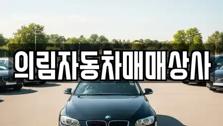 강원 정선군 남면 단기렌트카,중고차매입,중고차매매,중고차,렌트카,장기렌트카