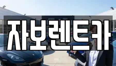 강원 춘천시 남면 렌트카 전문 자보렌트카