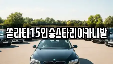 강원 춘천시 사북면 렌트카 전문 쏠라티15인승스타리아카니발