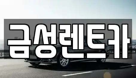 강원 춘천시 칠전동 렌트카 전문 금성렌트카