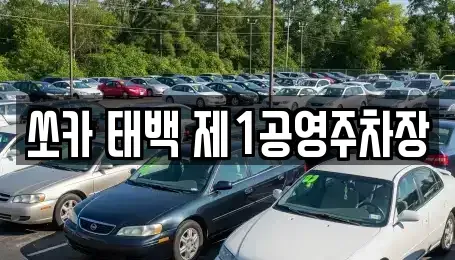 강원 태백시 렌트카 전문 쏘카 태백 제1공영주차장