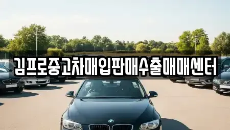강원 태백시 중고차매매 전문 김프로중고차매입판매수출매매센터