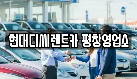 강원 평창군 렌트카 전문 현대디씨렌트카 평창영업소