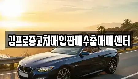 강원 평창군 중고차매입 전문 김프로중고차매입판매수출매매센터