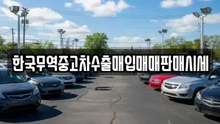 강원 평창군 중고차매입 전문 한국무역중고차수출매입매매판매시세