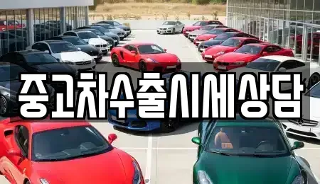 강원특별자치도 강릉시 왕산면 중고차매매 전문 중고차수출시세상담