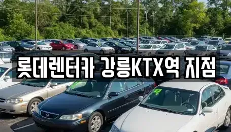 강원특별자치도 강릉시 입암동 렌트카 전문 롯데렌터카 강릉KTX역 지점