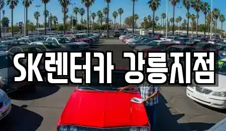 강원특별자치도 강릉시 입암동 장기렌트카 전문 SK렌터카 강릉지점