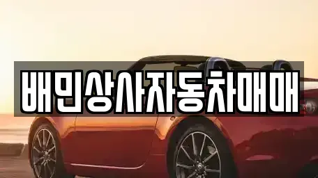 강원특별자치도 강릉시 입암동 중고차매매 전문 배민상사자동차매매