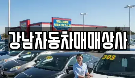 강원특별자치도 강릉시 청량동 중고차 전문 강남자동차매매상사