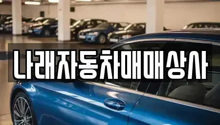 강원특별자치도 강릉시 청량동 중고차 전문 나래자동차매매상사