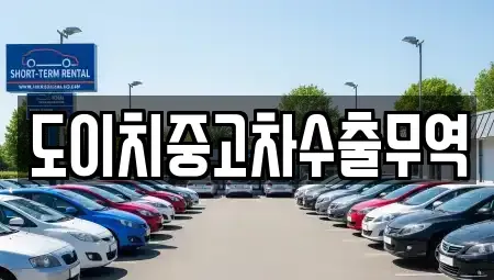 강원특별자치도 고성군 현내면 중고차매매 전문 도이치중고차수출무역