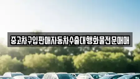 강원특별자치도 고성군 현내면 중고차매매 전문 중고차구입판매자동차수출대행화물전문매매