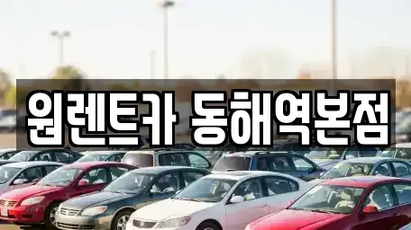 강원특별자치도 동해시 구호동 렌트카 전문 원렌트카 동해역본점