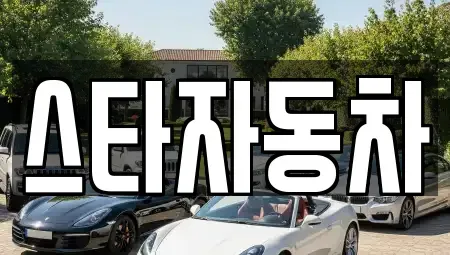 강원특별자치도 동해시 구호동 중고차 전문 스타자동차