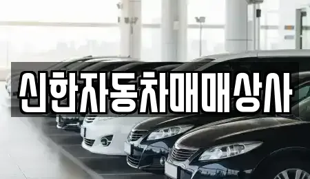 강원특별자치도 동해시 구호동 중고차 전문 신한자동차매매상사
