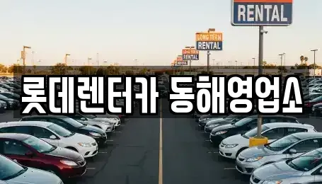강원특별자치도 동해시 북평동 렌트카 전문 롯데렌터카 동해영업소