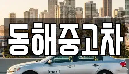 강원특별자치도 동해시 북평동 중고차 전문 동해중고차