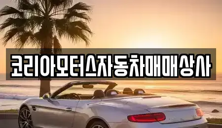 강원특별자치도 동해시 용정동 중고차매매 전문 코리아모터스자동차매매상사