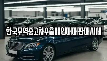 강원특별자치도 동해시 용정동 중고차매입 전문 한국무역중고차수출매입매매판매시세