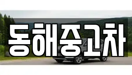 강원특별자치도 동해시 호현동 중고차 전문 동해중고차