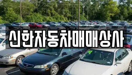 강원특별자치도 동해시 호현동 중고차 전문 신한자동차매매상사