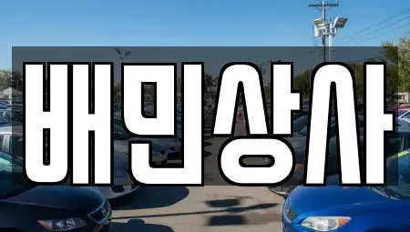 강원특별자치도 삼척시 원덕읍 중고차매매 전문 배민상사