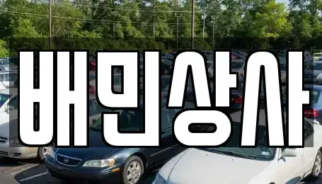 강원특별자치도 삼척시 정상동 중고차매매 전문 배민상사