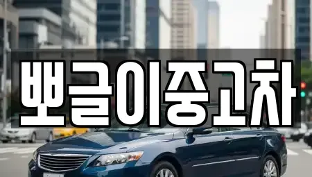 강원특별자치도 삼척시 정상동 중고차매매 전문 뽀글이중고차