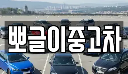 강원특별자치도 삼척시 증산동 중고차 전문 뽀글이중고차
