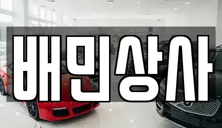 강원특별자치도 양양군 현북면 중고차매매 전문 배민상사