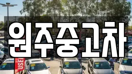 강원특별자치도 원주시 원동 중고차매매 전문 원주중고차