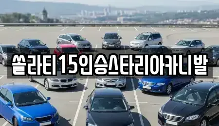 강원특별자치도 원주시 중앙동 렌트카 전문 쏠라티15인승스타리아카니발