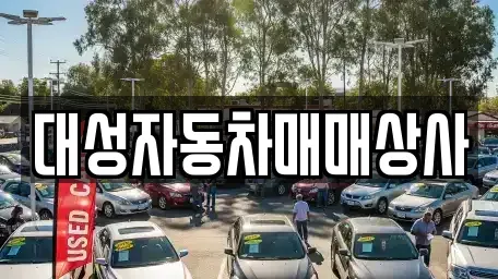 강원특별자치도 원주시 중앙동 중고차 전문 대성자동차매매상사