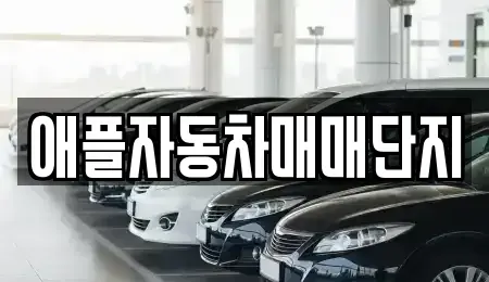 강원특별자치도 원주시 중앙동 중고차 전문 애플자동차매매단지