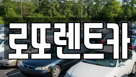 강원특별자치도 원주시 지정면 렌트카 전문 로또렌트카