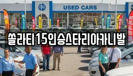 강원특별자치도 원주시 지정면 렌트카 전문 쏠라티15인승스타리아카니발