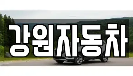 강원특별자치도 원주시 지정면 중고차매입 전문 강원자동차